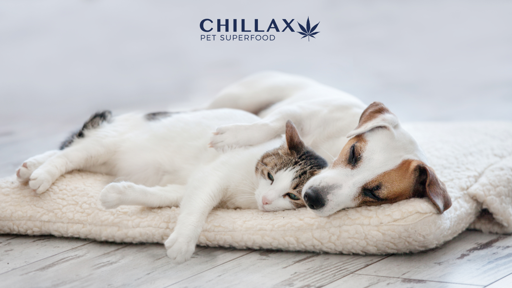 Mit Chillax einen entspannten 1. August geniessen