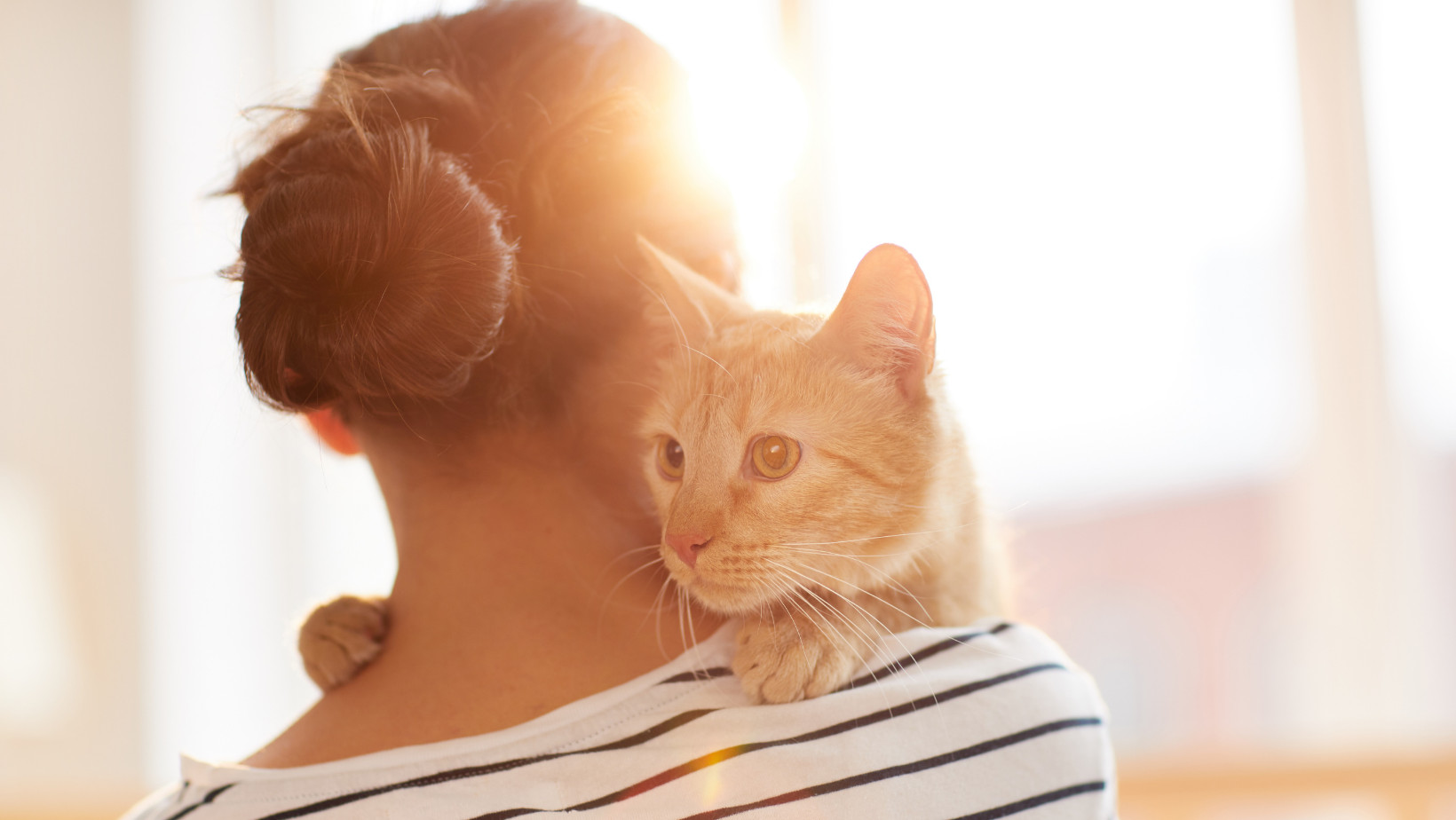Unsauberkeit bei Katzen: Deine Katze pinkelt überall hin?