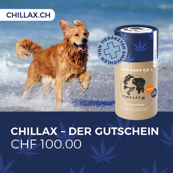 Chillax Gutschein CHF 100.00